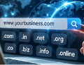 Domain Bank